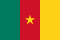Drapeau Cameroun